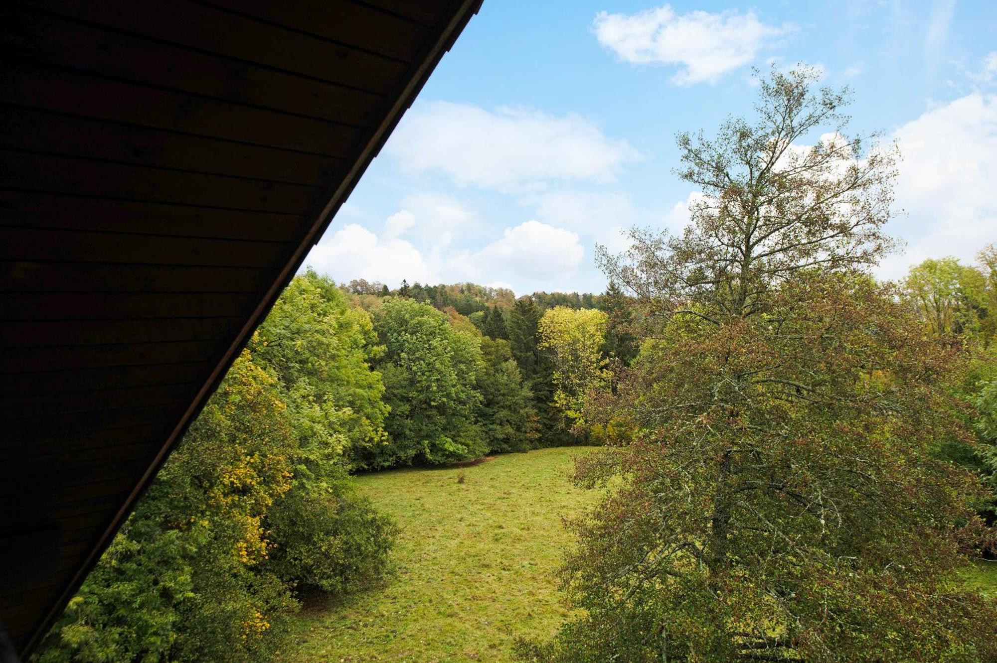 Landhaus Am Schmiedebach Wittenschwand 외부 사진