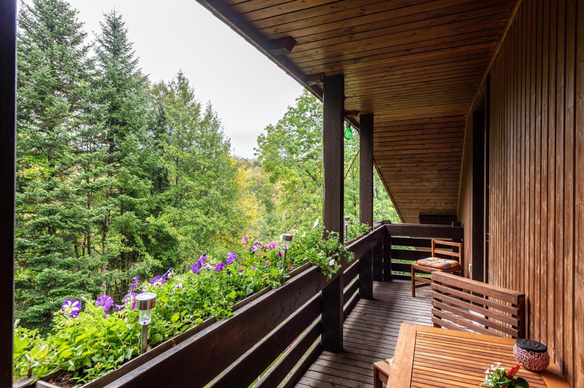 Landhaus Am Schmiedebach Wittenschwand 외부 사진